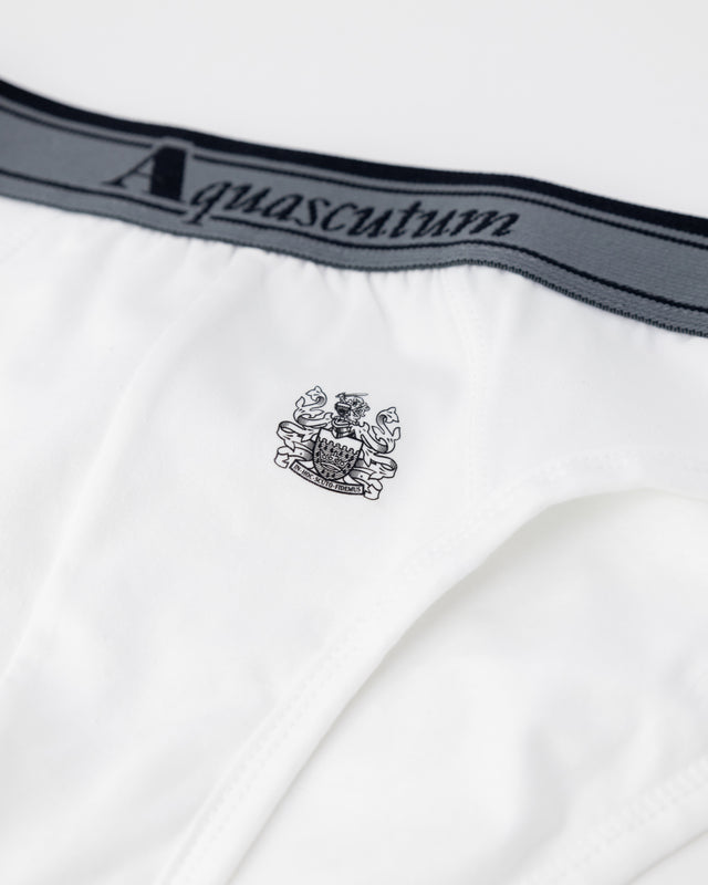 ACTIVE UNDERWEAR BRIEF TRIPLE PACK