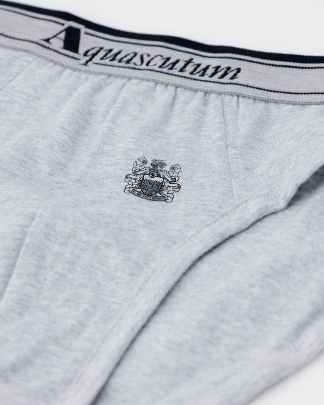 ACTIVE UNDERWEAR BRIEF TRIPLE PACK