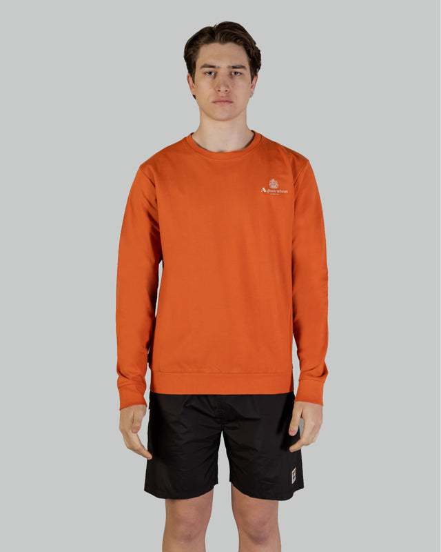 ACTIVE SMALL LOGO CREWNECK